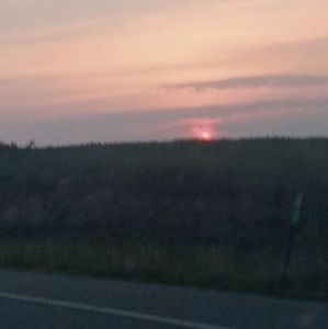 Meet your Posher, Crissy